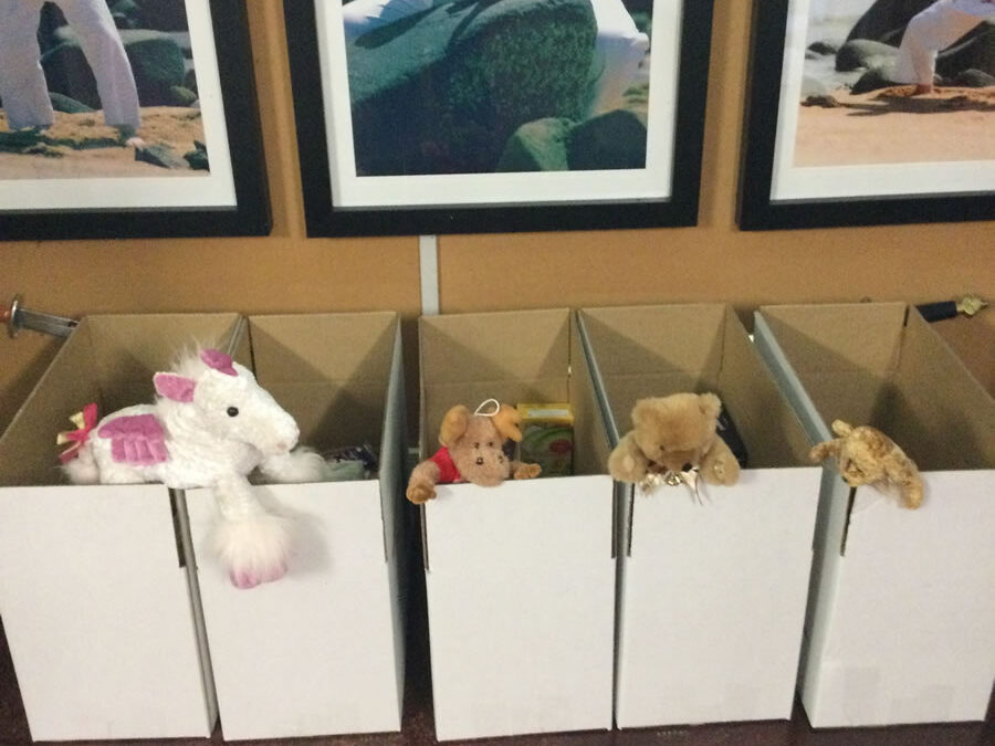 Donations From Lilac Moon Tai Chi 2025